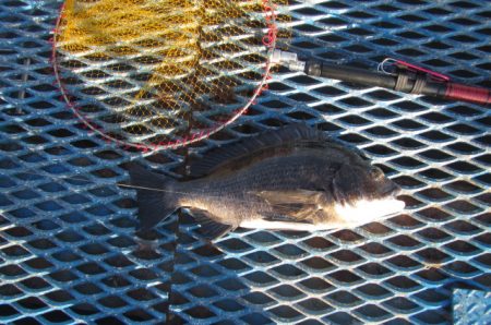オリジナルメーカー海づり公園(市原市海づり…
