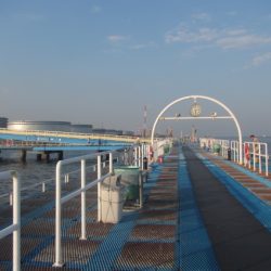 オリジナルメーカー海づり公園(市原市海づり施設) 釣果