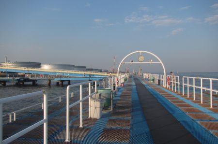 オリジナルメーカー海づり公園(市原市海づり施設) 釣果