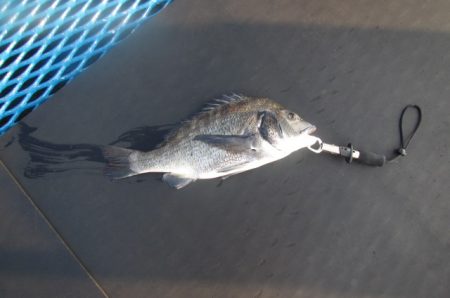 オリジナルメーカー海づり公園(市原市海づり…