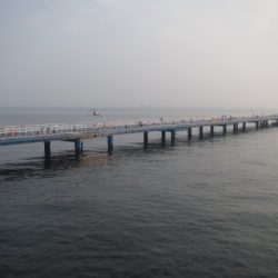 オリジナルメーカー海づり公園(市原市海づり施設) 釣果