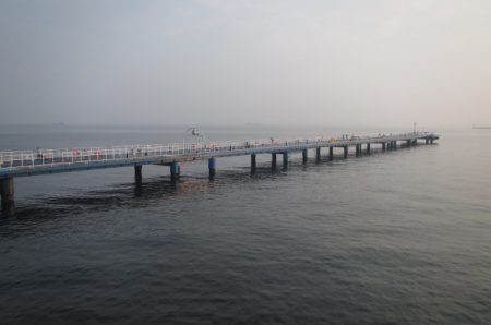 オリジナルメーカー海づり公園(市原市海づり施設) 釣果