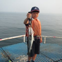 オリジナルメーカー海づり公園(市原市海づり施設) 釣果