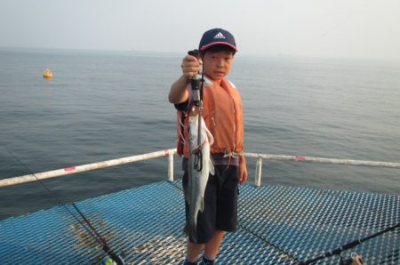 オリジナルメーカー海づり公園(市原市海づり…