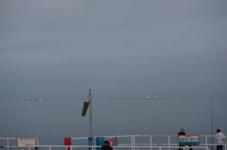 オリジナルメーカー海づり公園(市原市海づり施設) 釣果