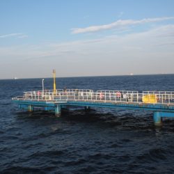 オリジナルメーカー海づり公園(市原市海づり施設) 釣果