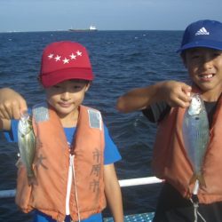 オリジナルメーカー海づり公園(市原市海づり施設) 釣果