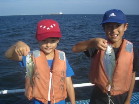 オリジナルメーカー海づり公園(市原市海づり施設) 釣果