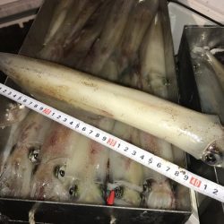 寿裕 （YOSHIHIRO） 釣果