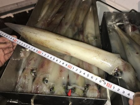 寿裕 （YOSHIHIRO） 釣果