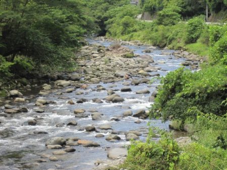 狩野川(狩野川漁業協同組合) 釣果
