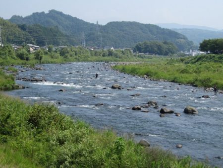 狩野川(狩野川漁業協同組合) 釣果