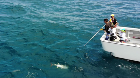 へいみつ丸 釣果