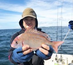 THESEAMAN(ザシーマン) 釣果