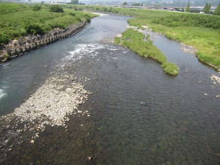 狩野川(狩野川漁業協同組合) 釣果