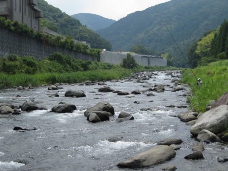 狩野川(狩野川漁業協同組合) 釣果