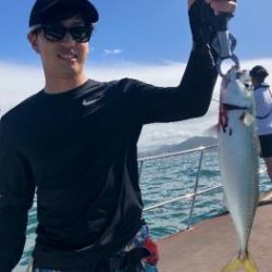 シーマジカル 釣果