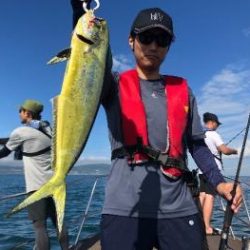 シーマジカル 釣果