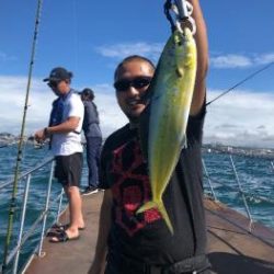 シーマジカル 釣果