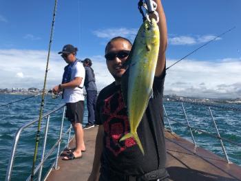 シーマジカル 釣果