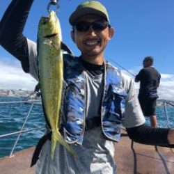 シーマジカル 釣果