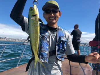 シーマジカル 釣果