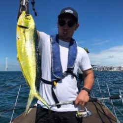 シーマジカル 釣果