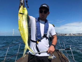 シーマジカル 釣果