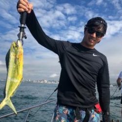 シーマジカル 釣果