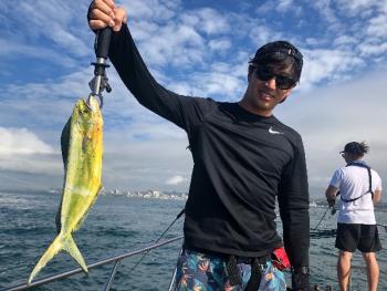 シーマジカル 釣果