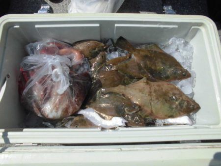 大進丸（新潟） 釣果