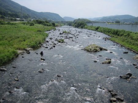 狩野川(狩野川漁業協同組合) 釣果