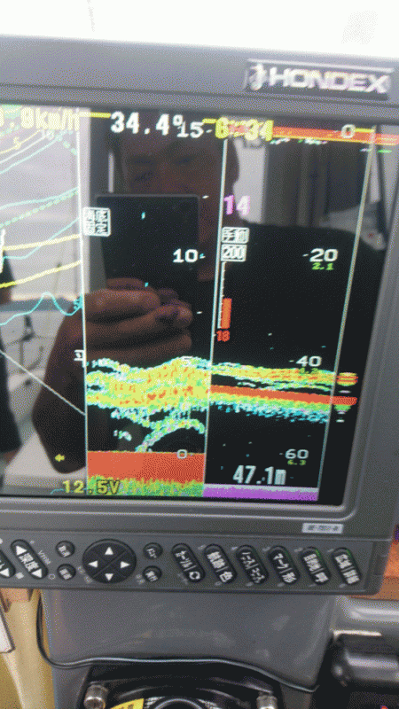 遊漁船ブルーウッズ 釣果