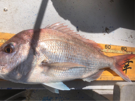 幸吉丸 釣果