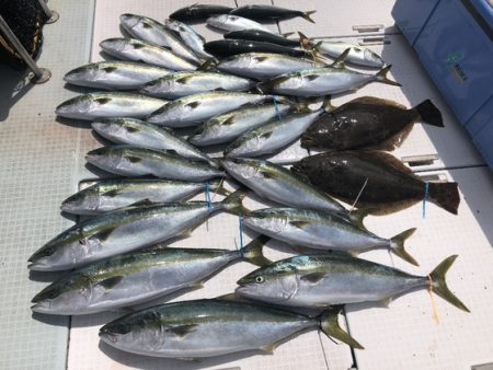 ふじしめ丸 釣果