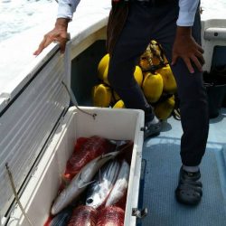 第五慶門丸 釣果