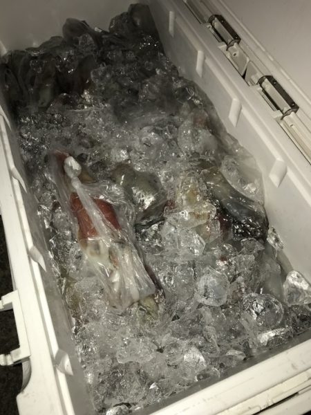 寿裕 （YOSHIHIRO） 釣果