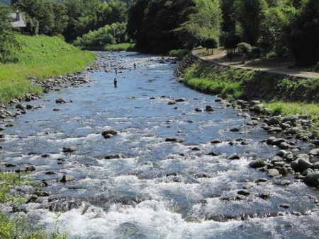 狩野川（狩野川漁業協同組合） 釣果
