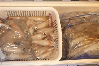松福丸 釣果