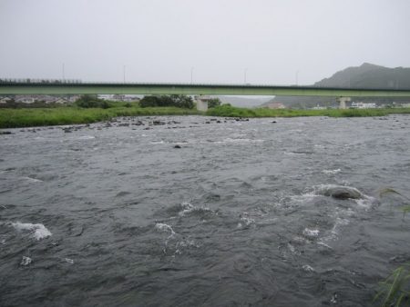 狩野川（狩野川漁業協同組合） 釣果