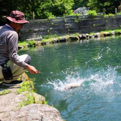 小菅トラウトガーデン 釣果