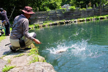 小菅トラウトガーデン 釣果