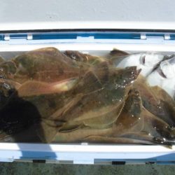 大進丸(新潟) 釣果