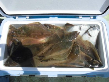 大進丸（新潟） 釣果