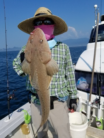 遊漁船　ニライカナイ 釣果