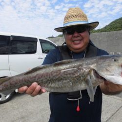 大進丸(新潟) 釣果