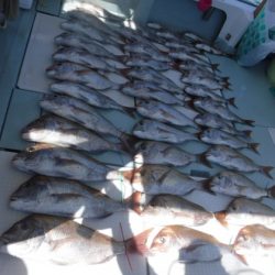 遊漁船 幸友丸 釣果