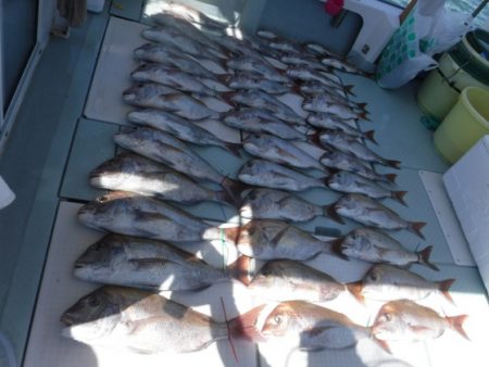 遊漁船 幸友丸 釣果