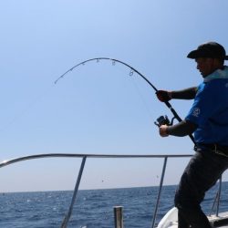 へいみつ丸 釣果