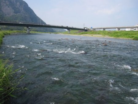 狩野川(狩野川漁業協同組合) 釣果